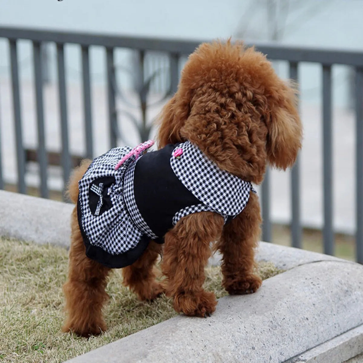 Black Princess Dog Dress for Weddings & Parties - XS to XL