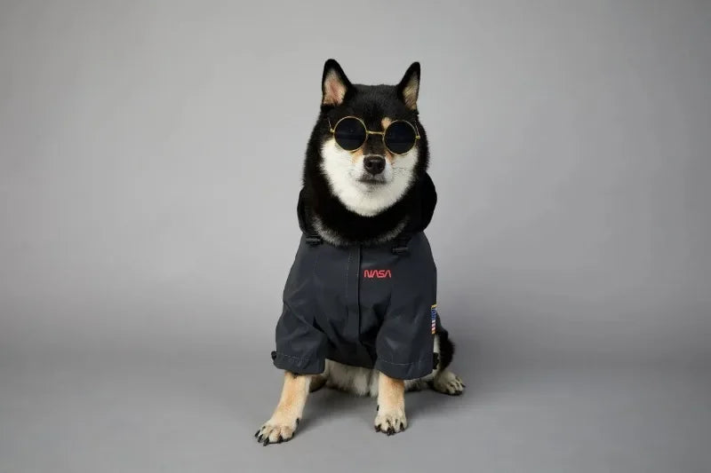 Reflective Space Suit Dog Raincoat - Waterproof Hoodie for All Sizes