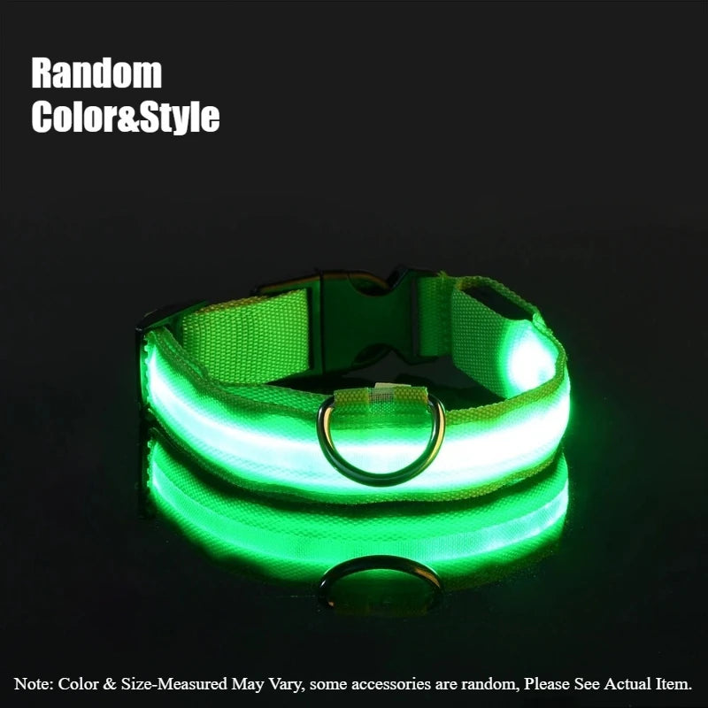 Nylon Safety Leash for Night Walking For Dog, Luminous Pet Collar, LED Glow Dog Leash