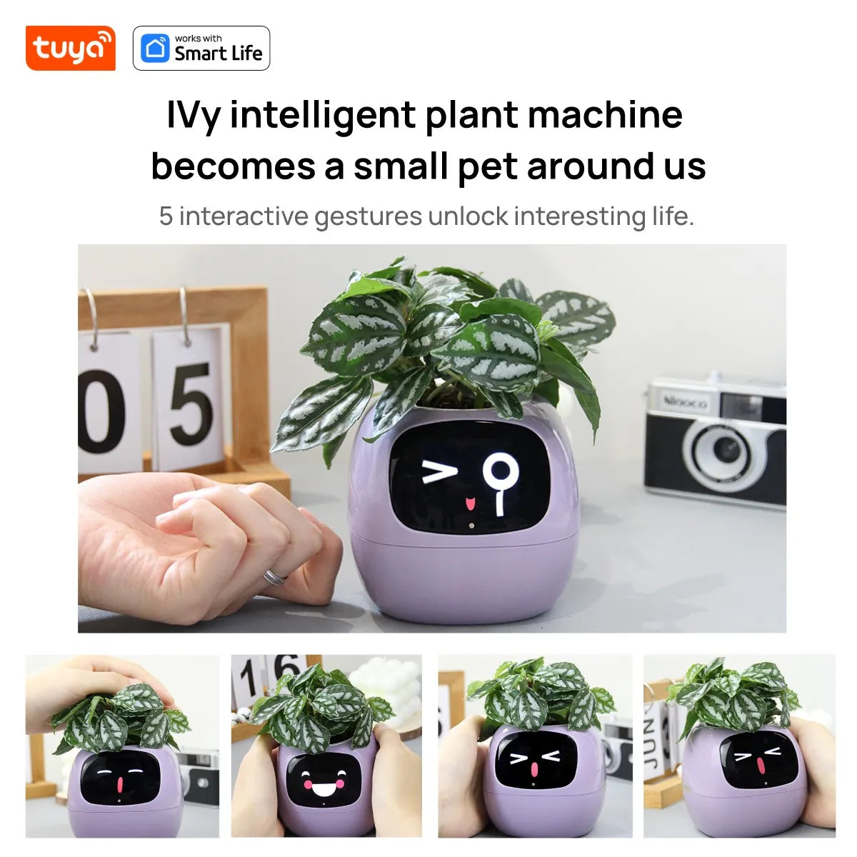 Smart Planter, Over 49 Rich Expressions,7 smart sensors,AI Chips Make Raising Plants Easy and Fun
