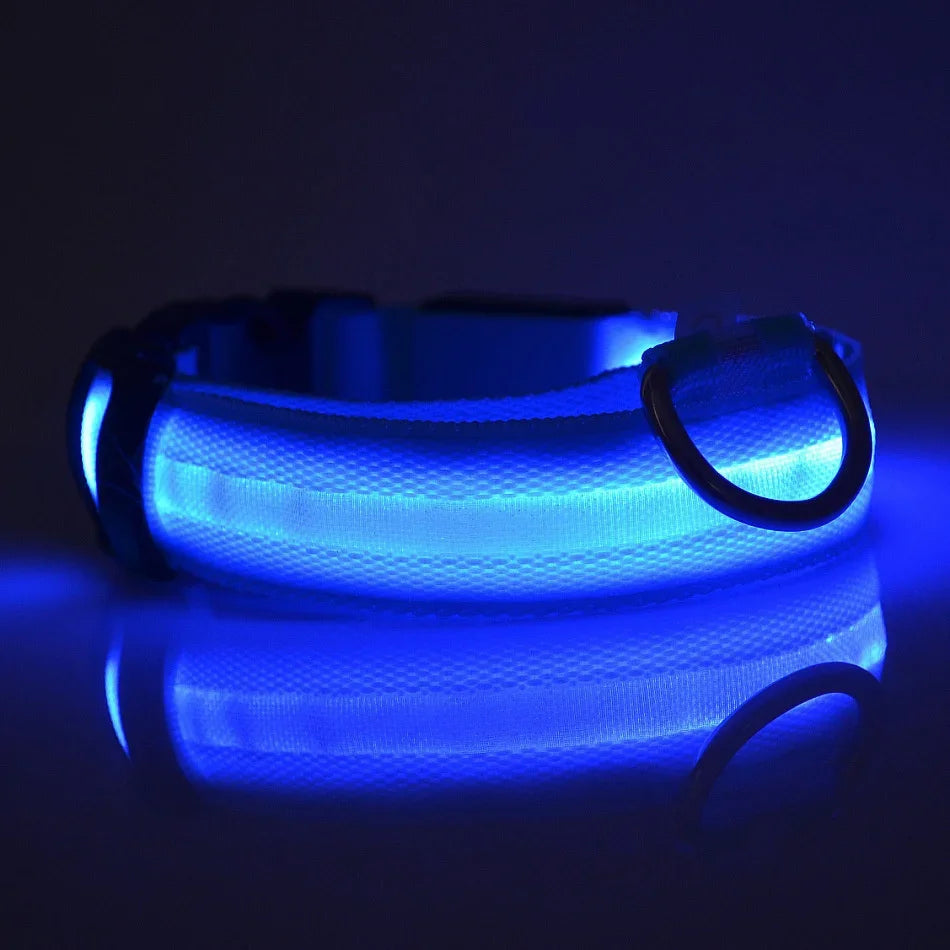 Nylon Safety Leash for Night Walking For Dog, Luminous Pet Collar, LED Glow Dog Leash