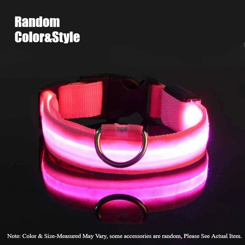 Nylon Safety Leash for Night Walking For Dog, Luminous Pet Collar, LED Glow Dog Leash