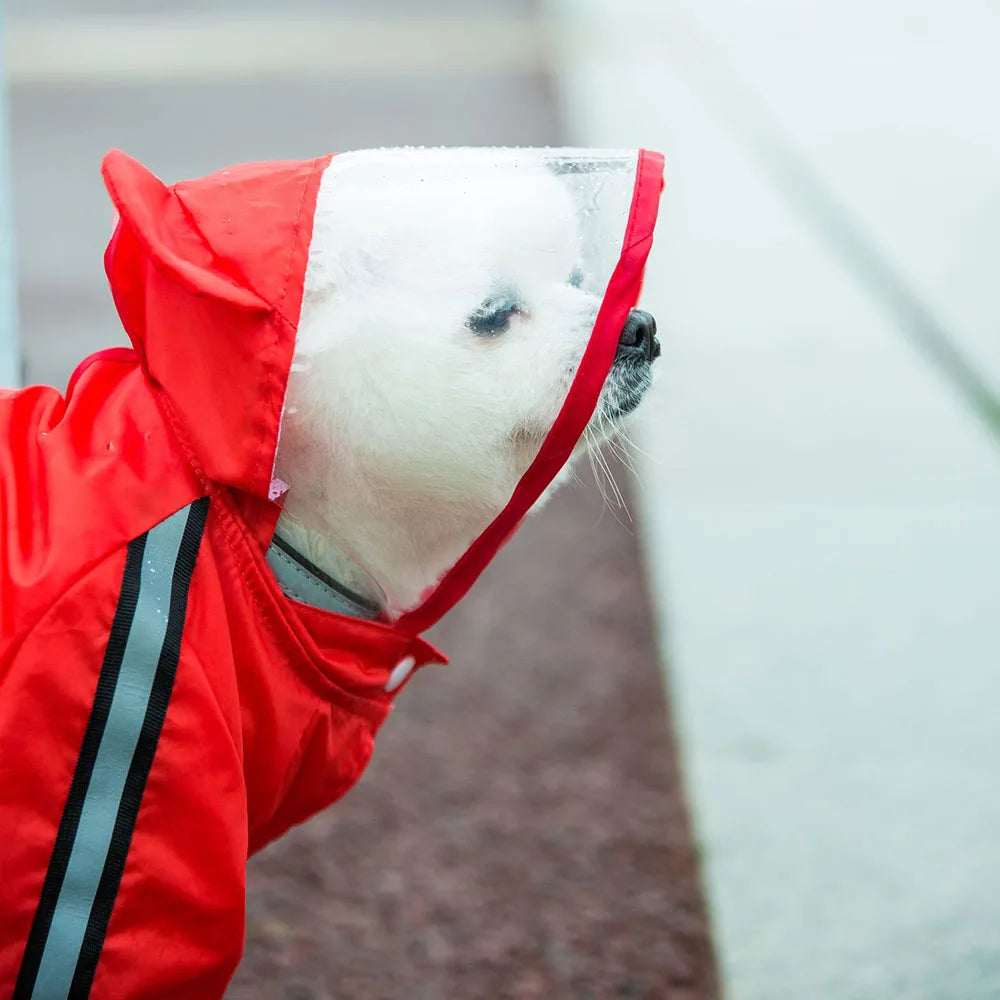 Cute Bear Shape Dog Raincoat Puppy Rain Jacket Full Body Coverage with Hat Reflective Double Layered Waterproof Dog Hooded Cloak