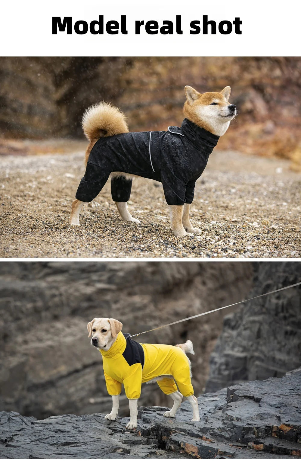 4-Leg Waterproof Dog Raincoat for Medium & Large Breeds