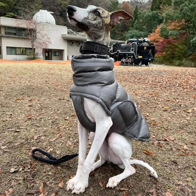 Waterproof & Warm Winter Jacket for Dogs & Cats - Insulated Down Vest
