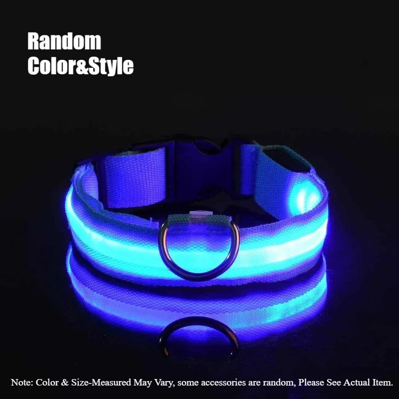 Nylon Safety Leash for Night Walking For Dog, Luminous Pet Collar, LED Glow Dog Leash
