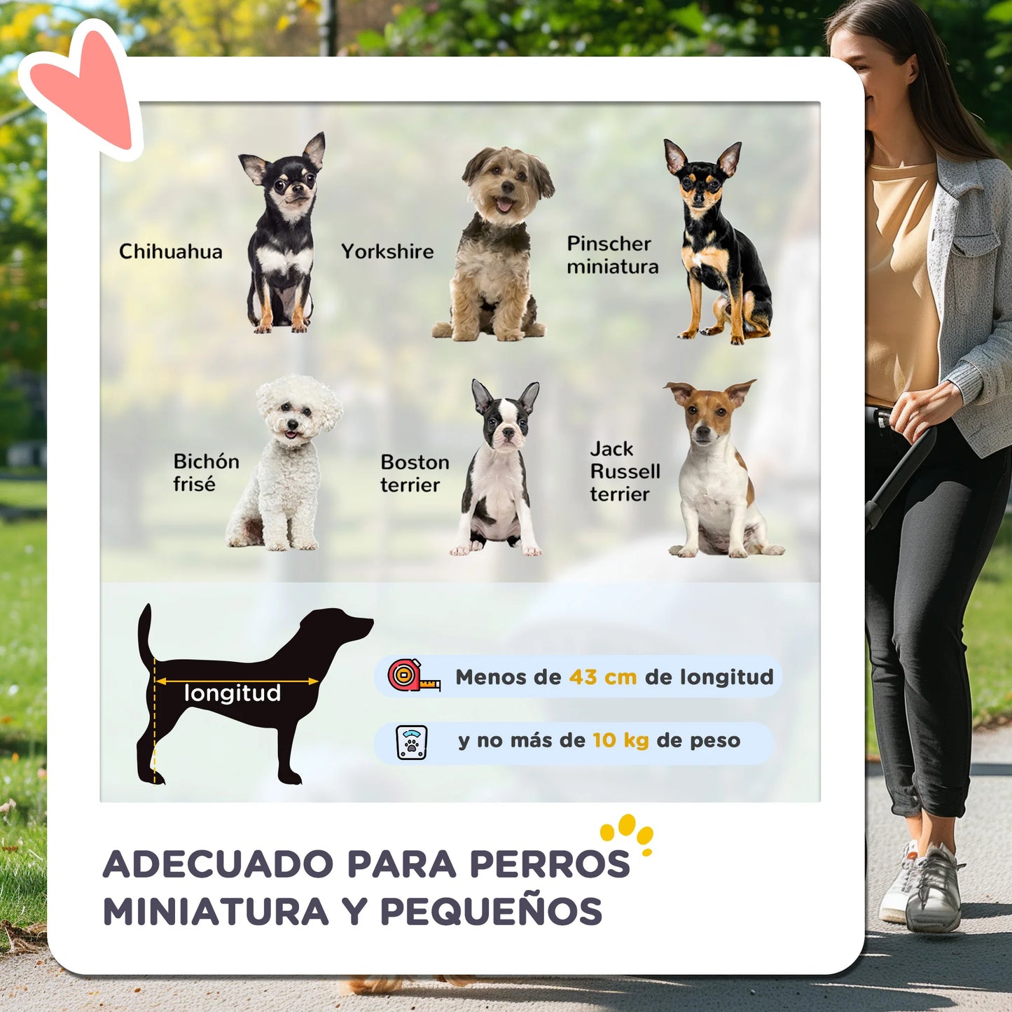 Pawhut Foldable All-Terrain Pet Stroller