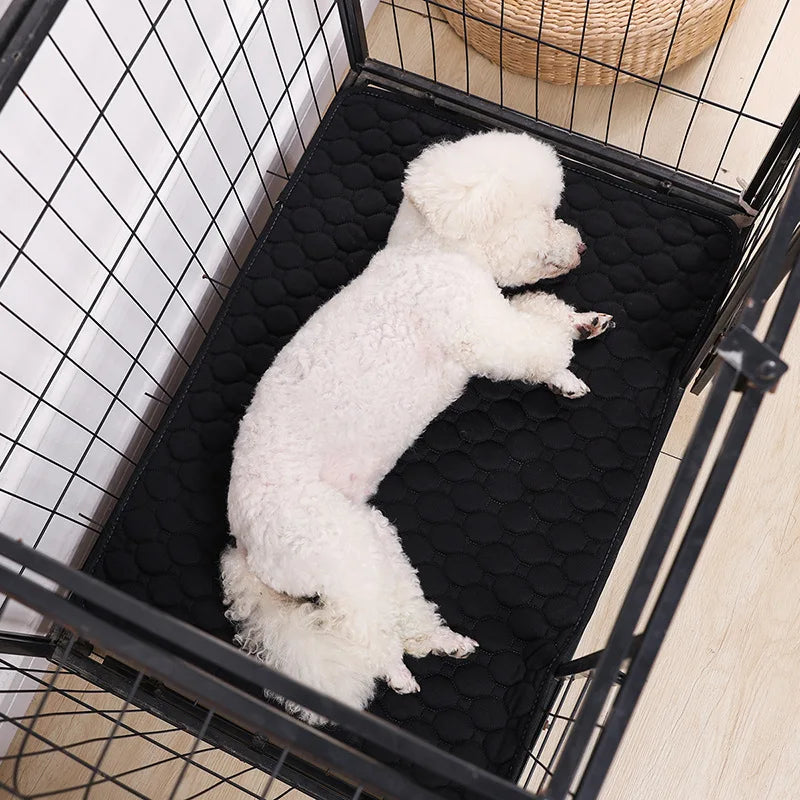 Washable Puppy Training Pad - Anti-Slip Reusable Pet Urine Mat for Car & Home