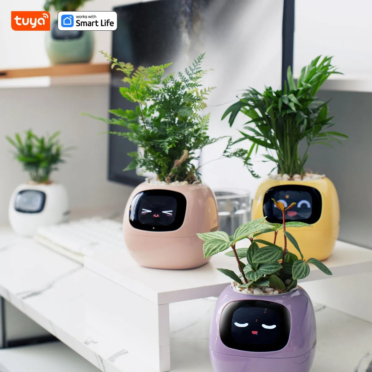 Smart Planter, Over 49 Rich Expressions,7 smart sensors,AI Chips Make Raising Plants Easy and Fun
