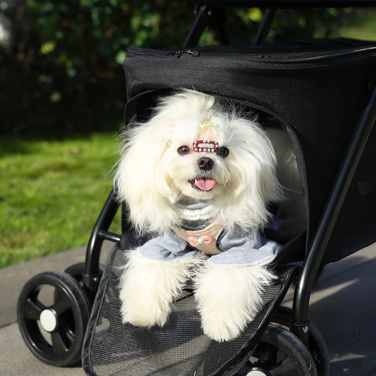 4-Wheel Pet Jogger - All-Terrain Stroller with Storage Basket