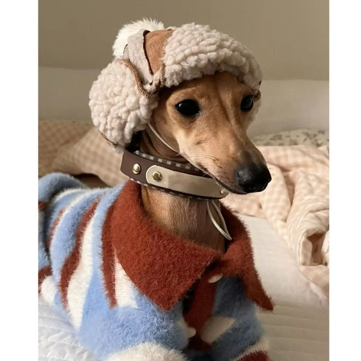 Dog Sweater