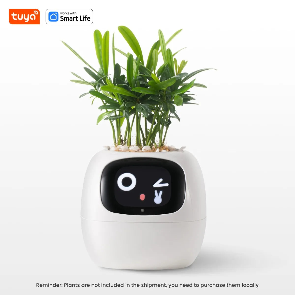 Smart Planter, Over 49 Rich Expressions,7 smart sensors,AI Chips Make Raising Plants Easy and Fun