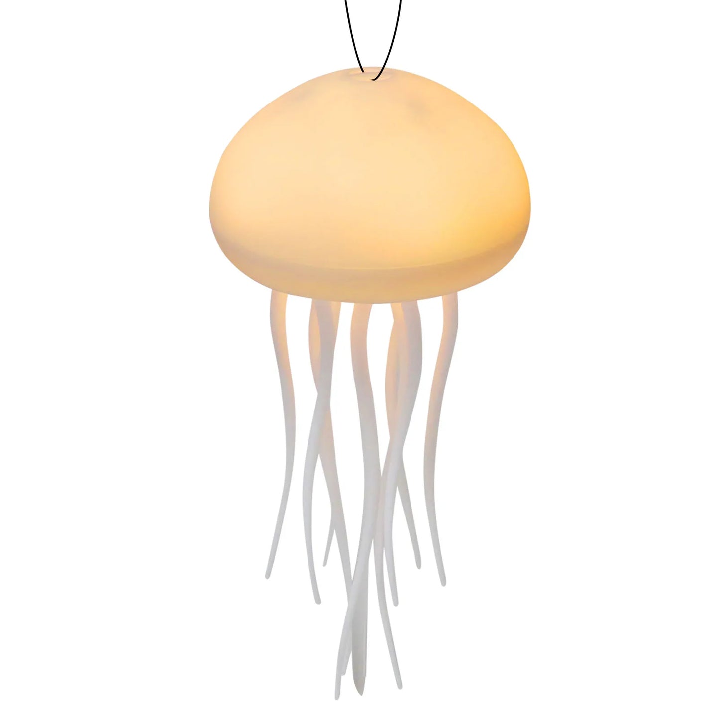 The jellyfish Atmosphere Light With Warm Light And Full -color