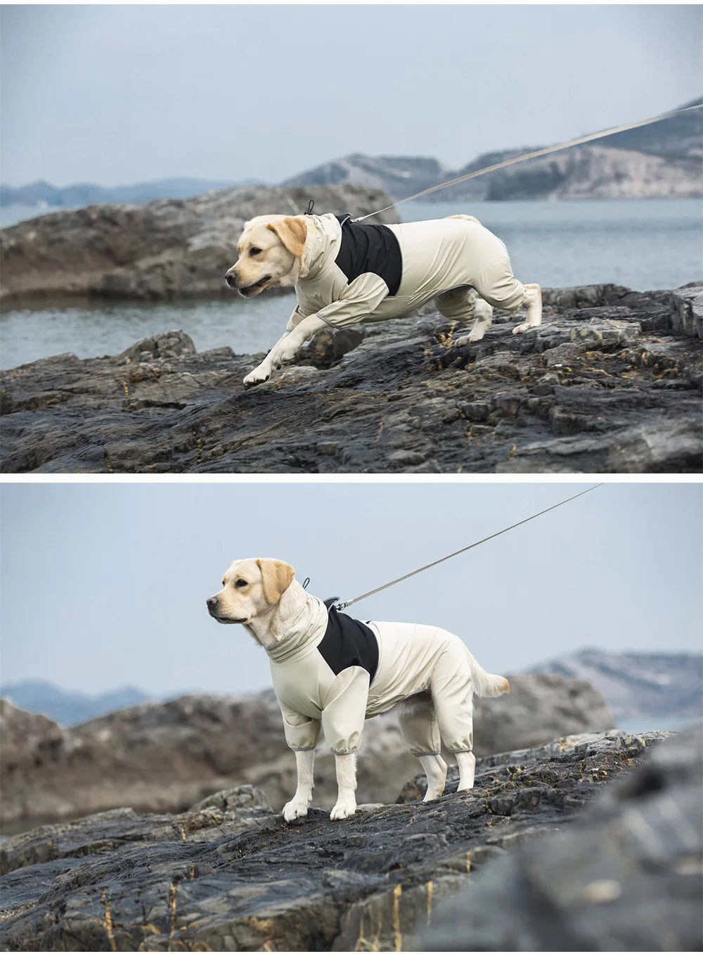 4-Leg Waterproof Dog Raincoat for Medium & Large Breeds