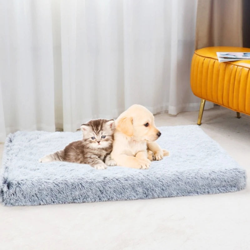 Plush Square Dog Bed with Removable Cover - Orthopedic Mattress for All-Size Dogs