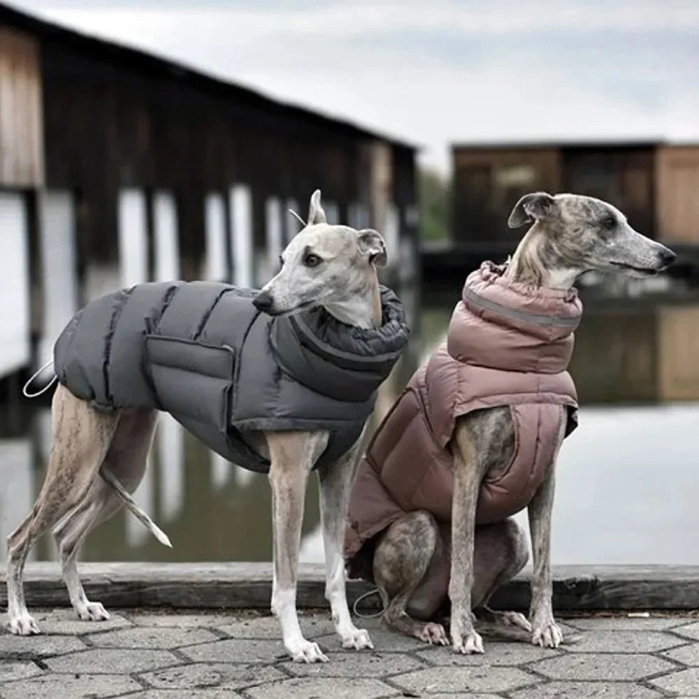 Waterproof & Warm Winter Jacket for Dogs & Cats - Insulated Down Vest