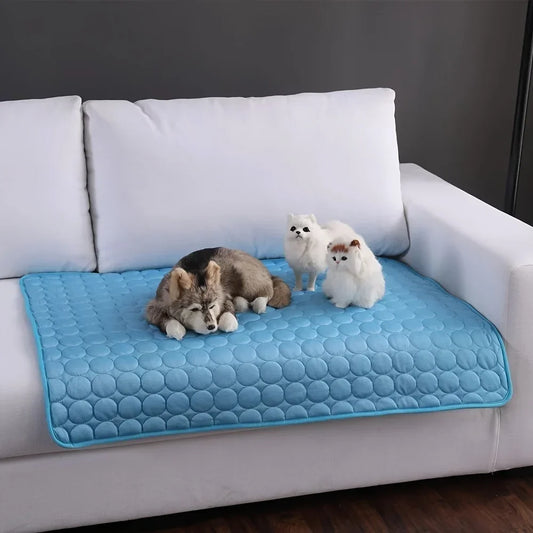 Blue pet mat on a white couch with plush toys on top