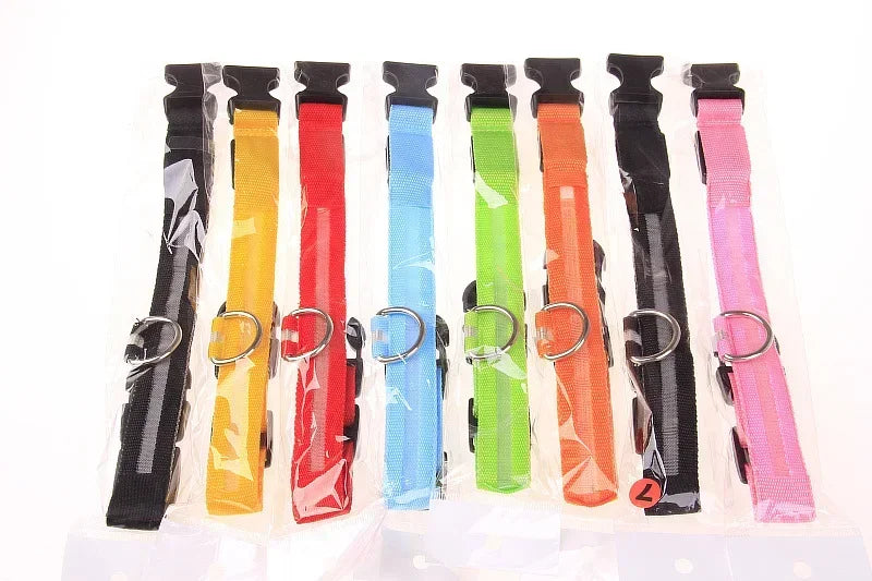 Nylon Safety Leash for Night Walking For Dog, Luminous Pet Collar, LED Glow Dog Leash