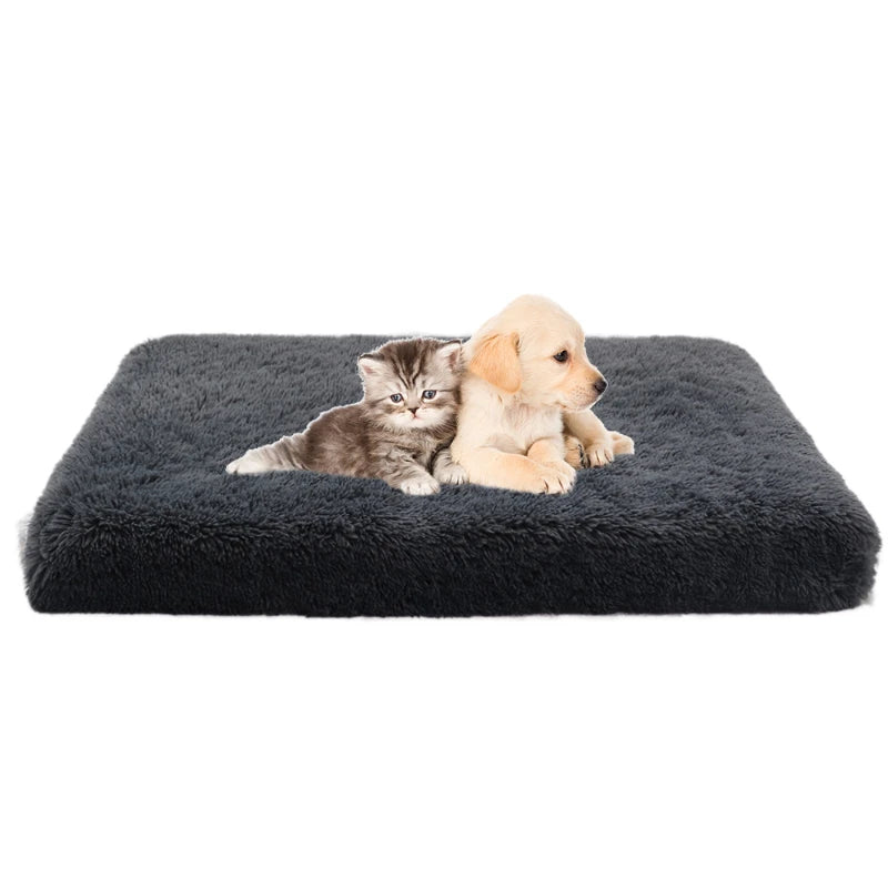 Plush Square Dog Bed with Removable Cover - Orthopedic Mattress for All-Size Dogs