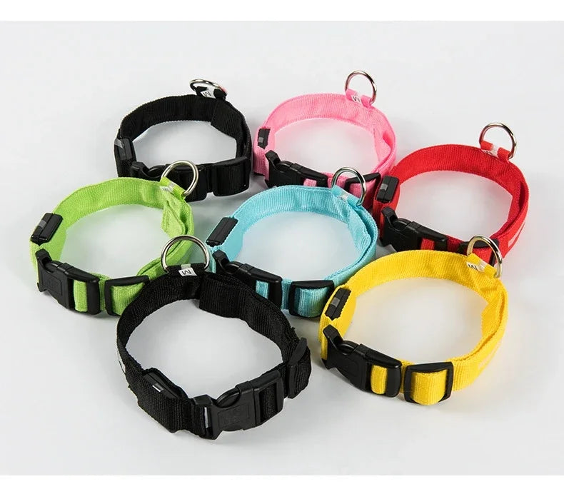 Nylon Safety Leash for Night Walking For Dog, Luminous Pet Collar, LED Glow Dog Leash