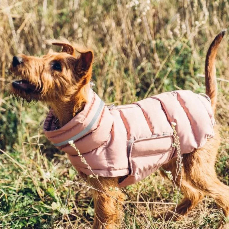 Waterproof & Warm Winter Jacket for Dogs & Cats - Insulated Down Vest