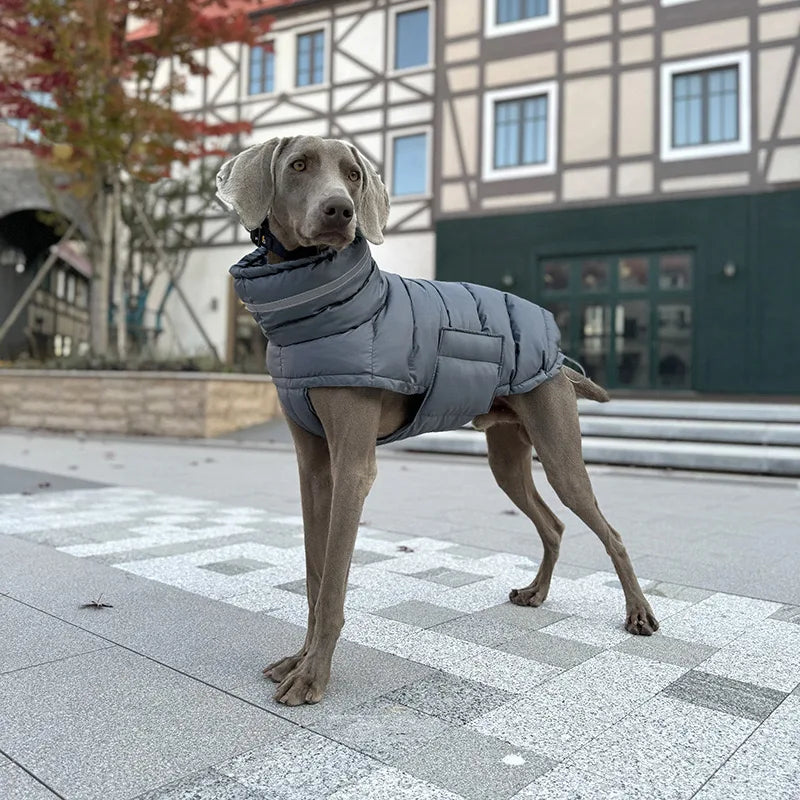 Waterproof & Warm Winter Jacket for Dogs & Cats - Insulated Down Vest