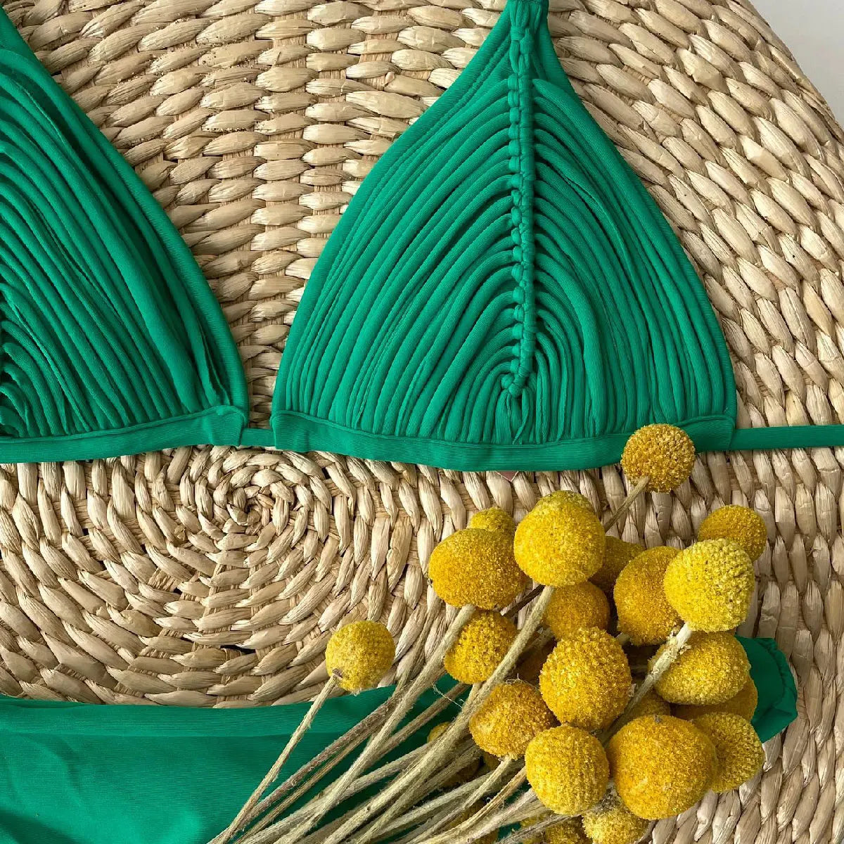 Brazilian sexy Bikini