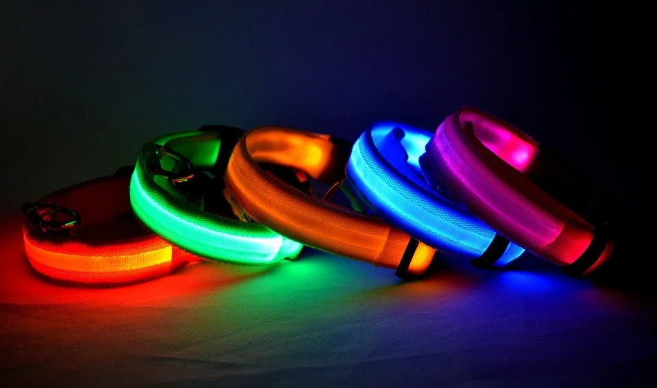 Nylon Safety Leash for Night Walking For Dog, Luminous Pet Collar, LED Glow Dog Leash
