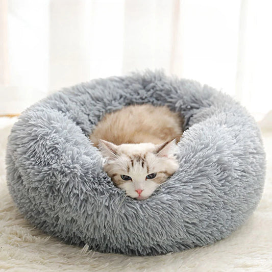 Cat lying on a fluffy gray pet bed with a white background