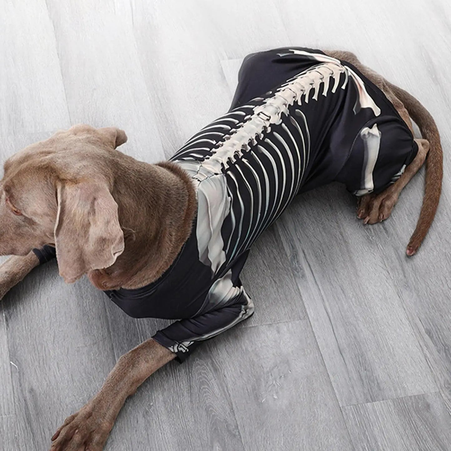 Skeleton Dog Costume - Halloween Pet Jumpsuit