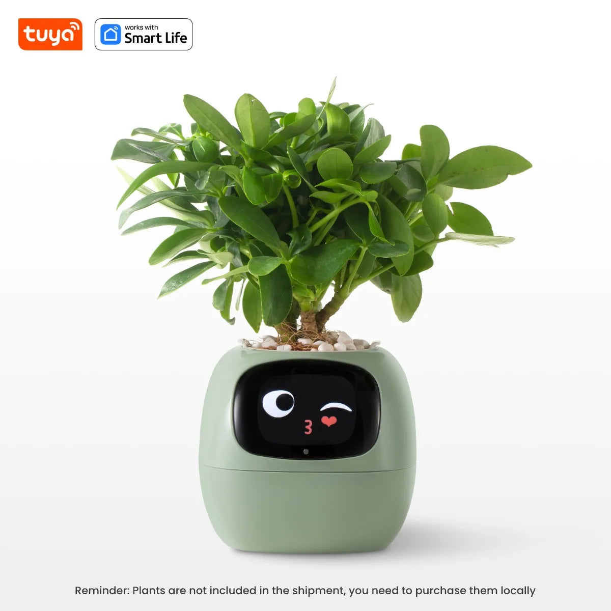 Smart Planter, Over 49 Rich Expressions,7 smart sensors,AI Chips Make Raising Plants Easy and Fun