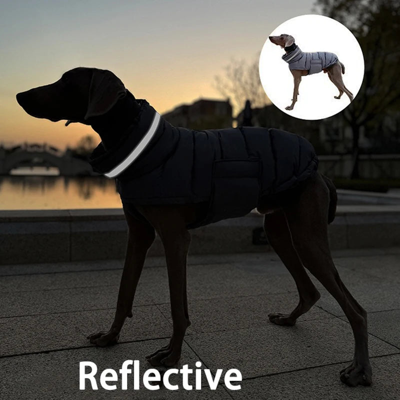 Waterproof & Warm Winter Jacket for Dogs & Cats - Insulated Down Vest
