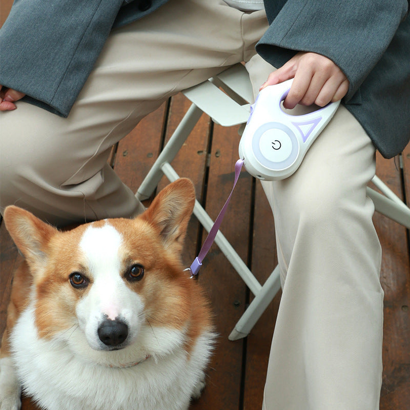 Retractable Dog Leash with Collar – One-Button Brake for Small & Medium Dogs