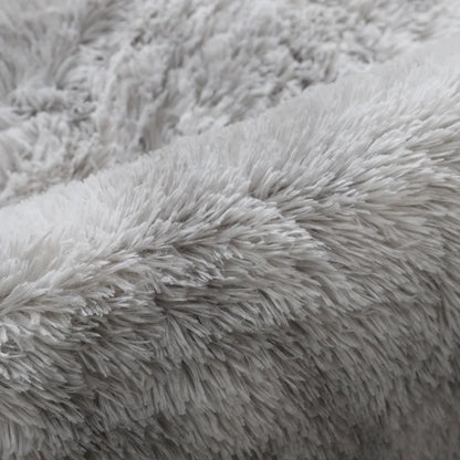 Fluffy Large Carpet Living Room Plush Lounge Rug in The Bedroom Floor Mat Soft Velvet Carpets For Children Kids Decoration  ﻿ - BeeTrendyShop.COM
