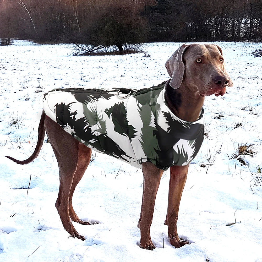Waterproof Winter Dog Jacket for French Bulldogs & All Sizes - BeeTrendyShop.COM