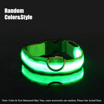 LED Luminous Dog Leash & Collar – Night Safety Nylon Pet Leash with Glow Light