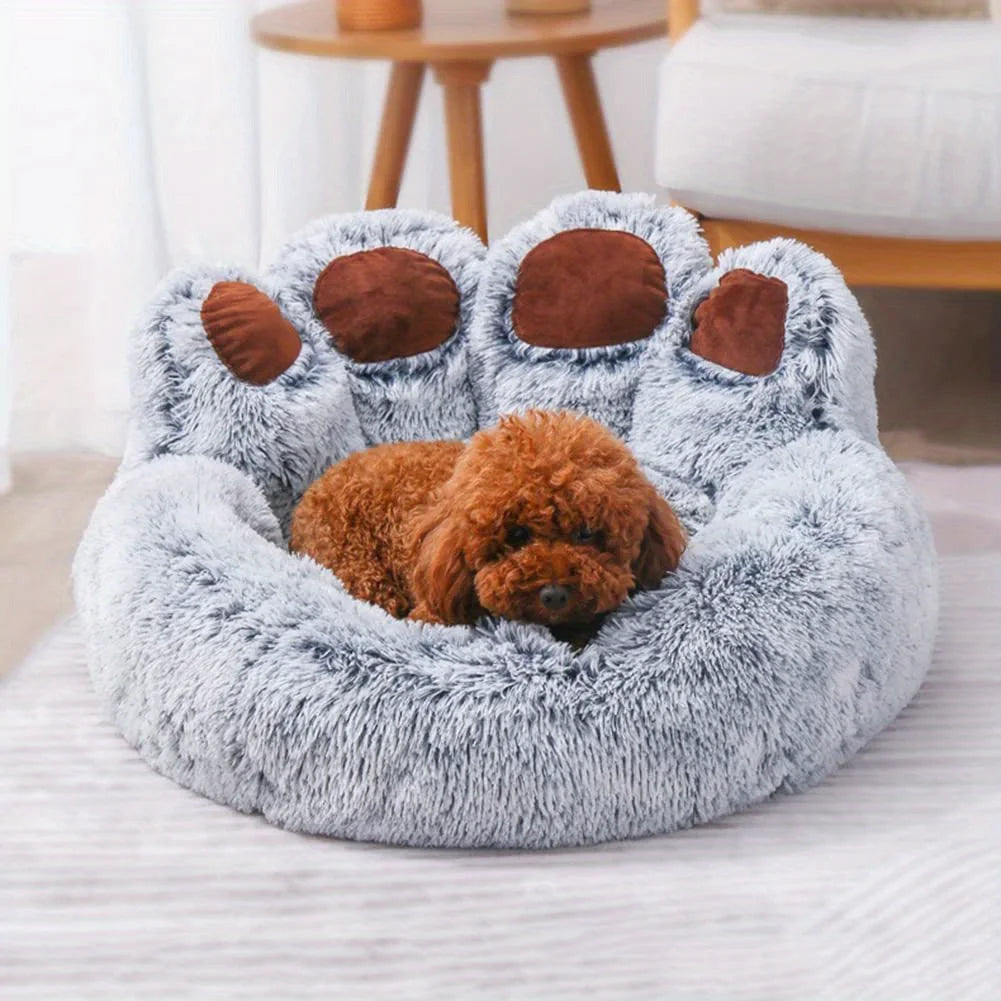 pet‘s sofa