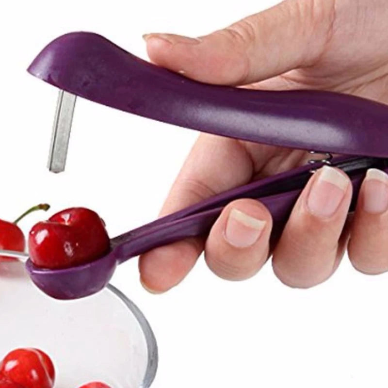 cherry and olive pit remover