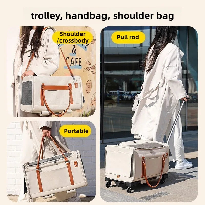2-in-1 Pet Stroller & Backpack Carrier – Foldable, Breathable, Large Capacity for Cats & Dogs