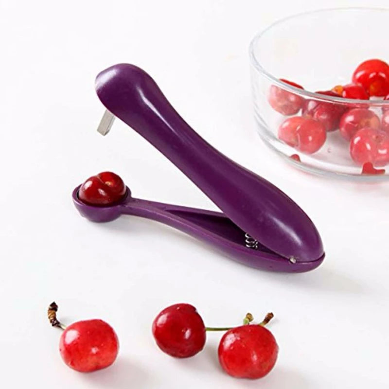 cherry and olive pit remover