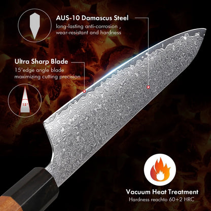 TURWHO Hand Forged Japanese Damascus Steel Chef Knife – Santoku, Sashimi & More