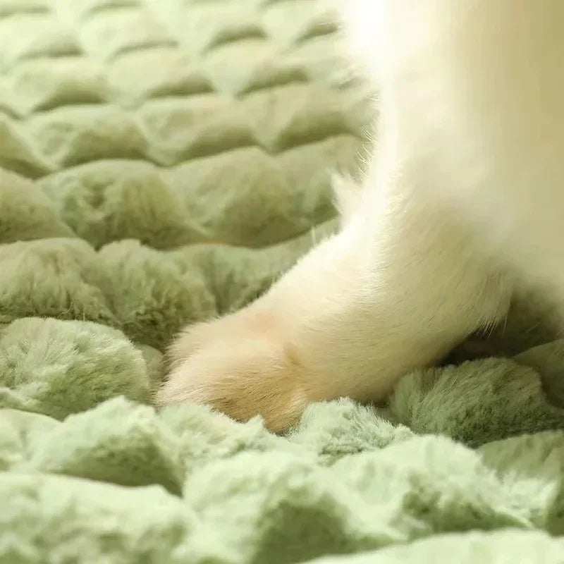 Orthopedic Memory Foam Dog Bed - Machine Washable for All-Size Dogs & Cats
