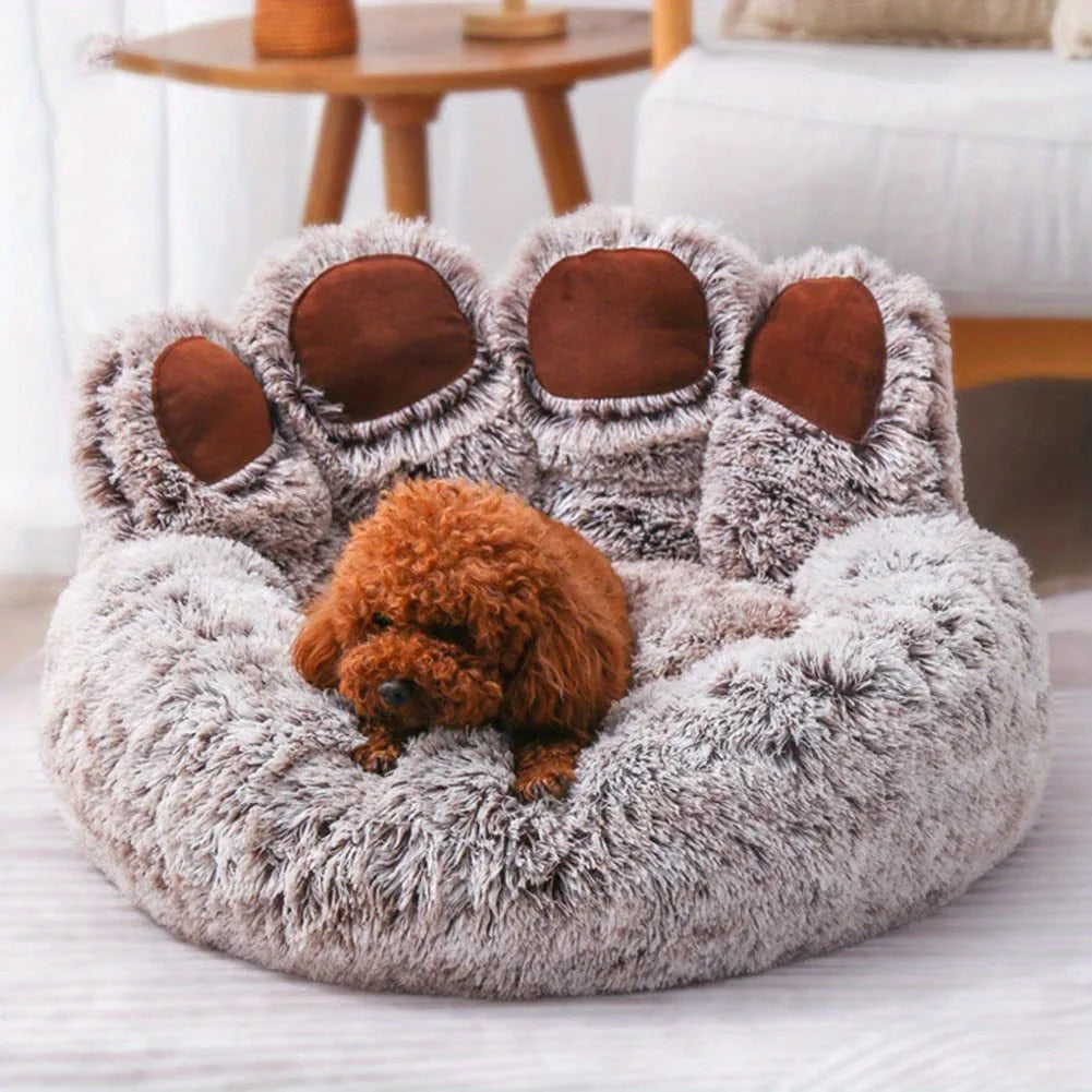 pet‘s sofa