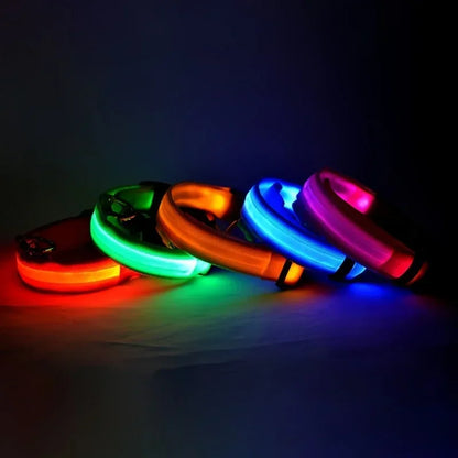 LED Luminous Dog Leash & Collar – Night Safety Nylon Pet Leash with Glow Light