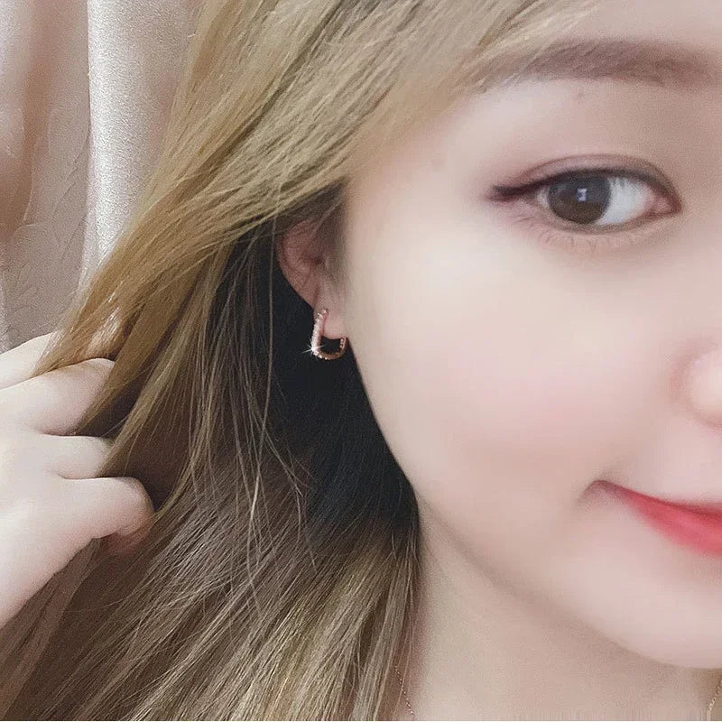 Hot popular 925 Sterling Silver charms Crystal Jewelry Fashion Zircon Circle Hoop Earrings for Woman Lady Wedding Party Gift