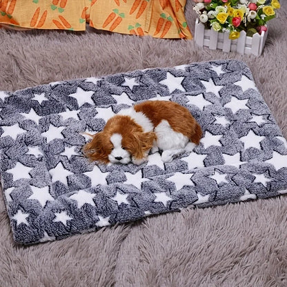 Plush toy resembling a dog lying on a star-patterned rug with a floral arrangement in the background.