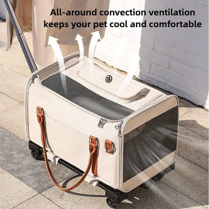 2-in-1 Pet Stroller & Backpack Carrier – Foldable, Breathable, Large Capacity for Cats & Dogs