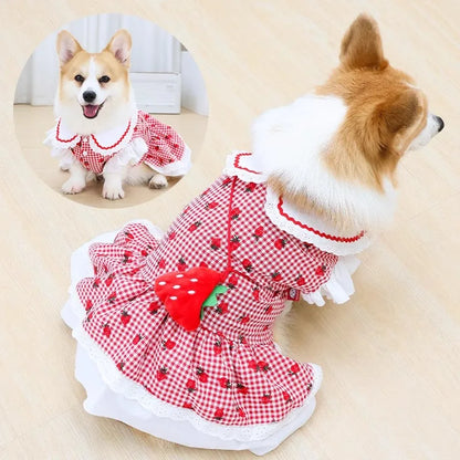 Strawberry Plaid Dog Dress for Small Breeds - Summer Puppy Apparel - BeeTrendyShop.COM