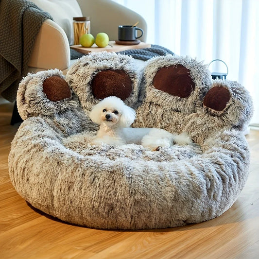 pet‘s sofa