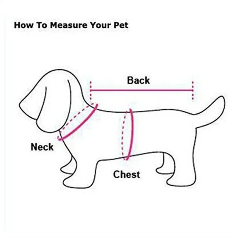 Large Dog Winter Coat - Warm Jacket for Samoyed, Husky, Golden Retriever & Other Big Breeds - BeeTrendyShop.COM